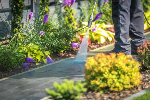 Professional  Pressure Washing Services in Tsaile, AZ